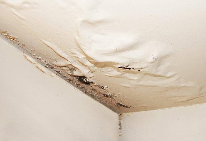 Water damage on ceiling - Things that attracts pests