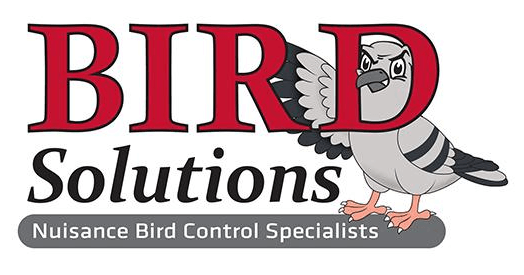 Bird Solutions Logo - Nuisance Bird Control Specialist