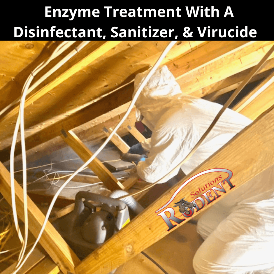 enzyme treatment with a disinfectant sanitizer and virucide