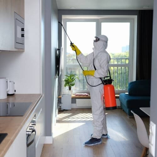 man disinfecting the walls pest control services