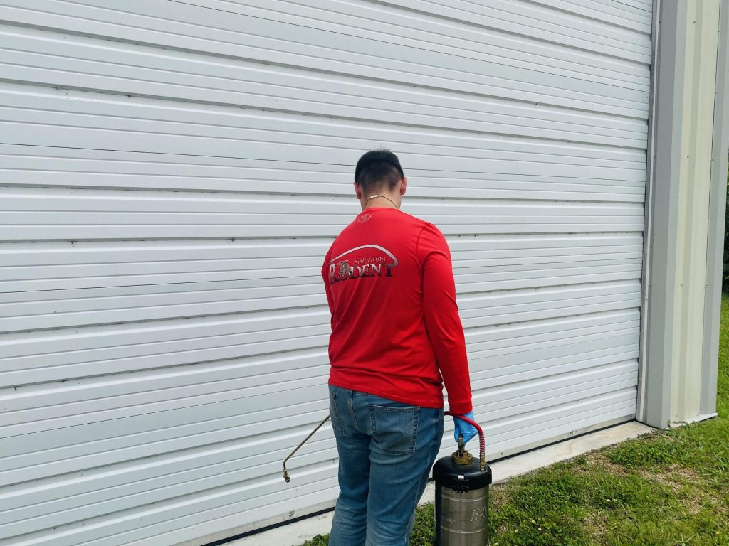 professional spraying on the side of the wall commercial pest control
