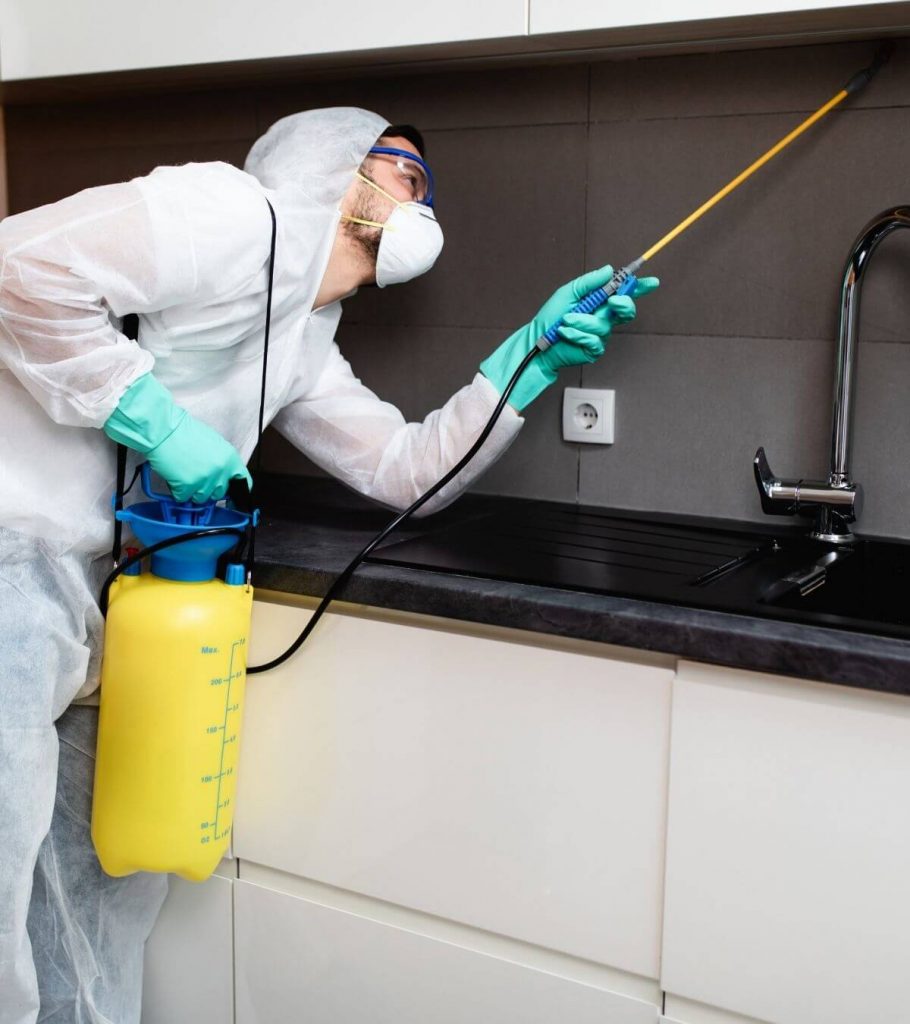 professional cleaner spraying rodent control
