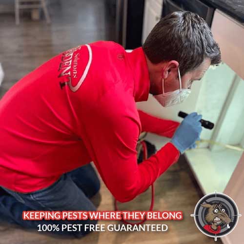 keeping pests where they belong with pest control services in Lakewood Ranch, Bradenton, Sarasota and Parrish