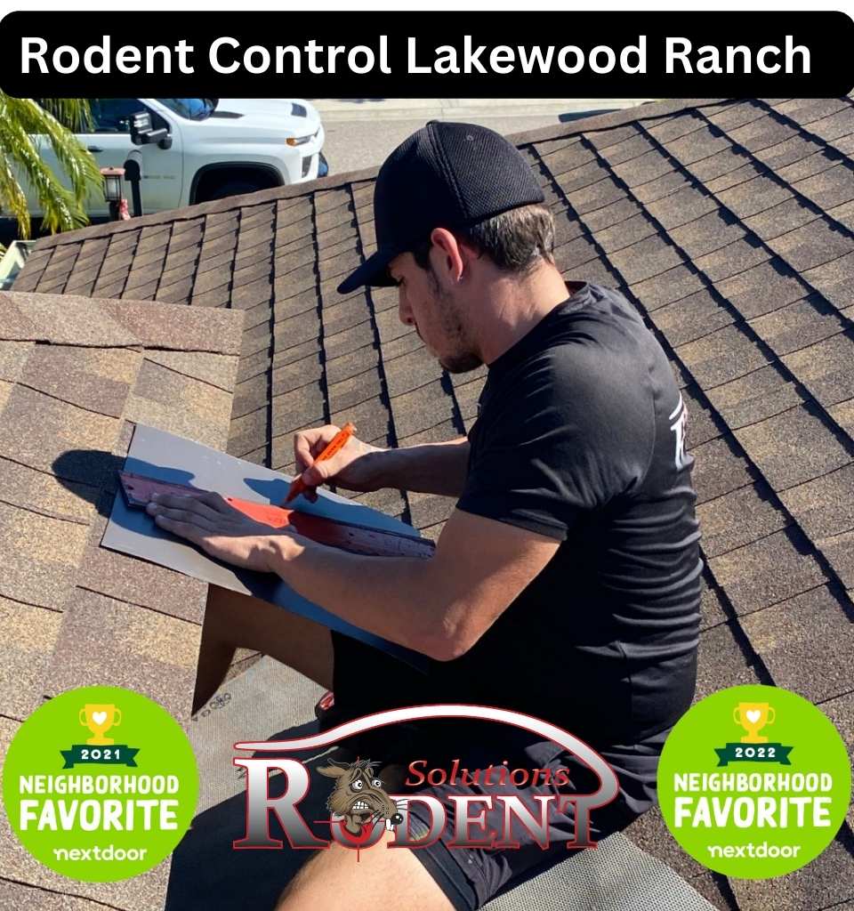 Rodent Control Lakewood Ranch- Rodent Solutions Inc-Lakewood Ranch, Sarasota, Bradenton, & Parrish, FL- Nextdoor's Favorite Pest Control Company
