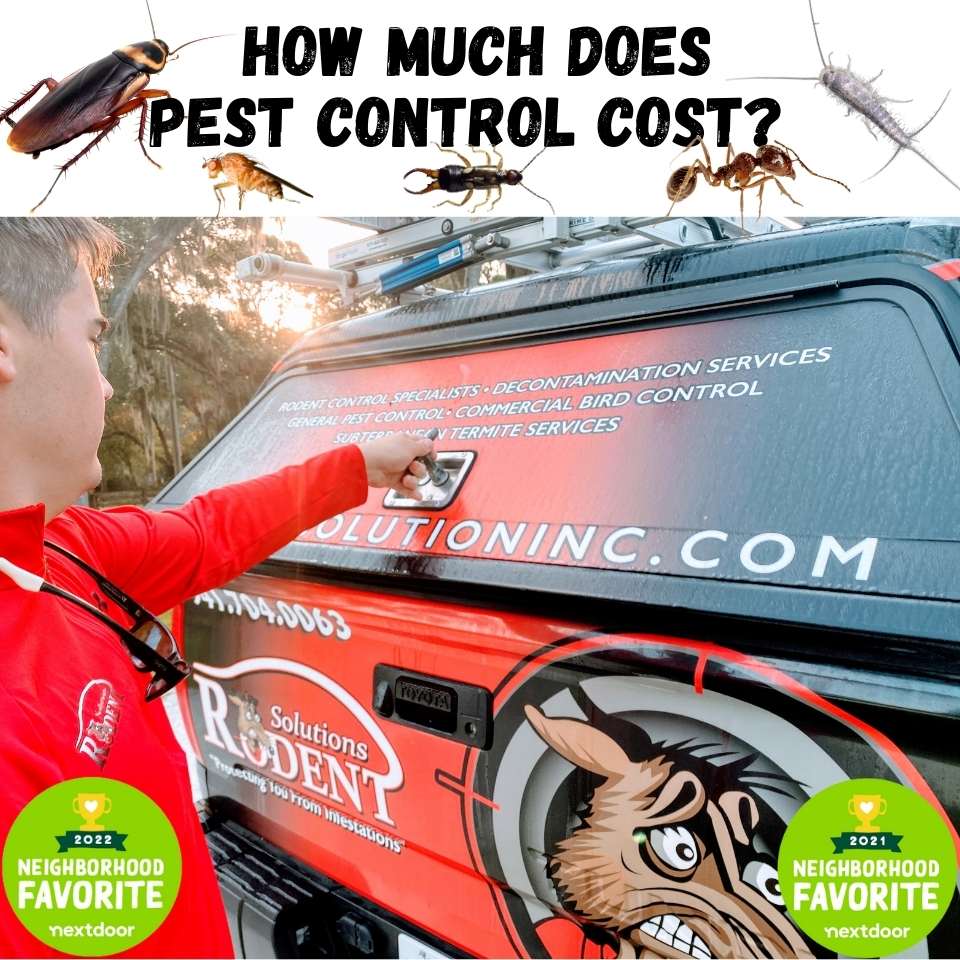 How much does pest infestation control cost?