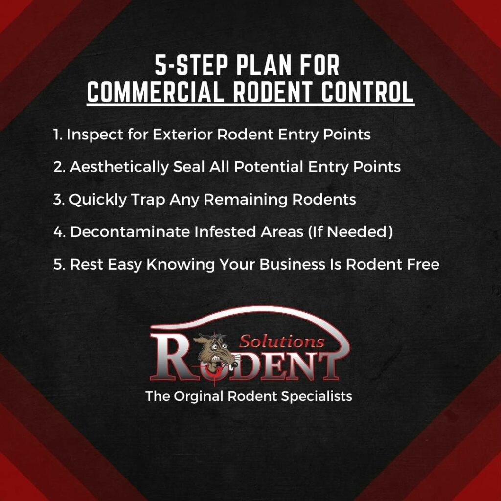 5 Step Plan for Rodent Control at Commercial Properties 