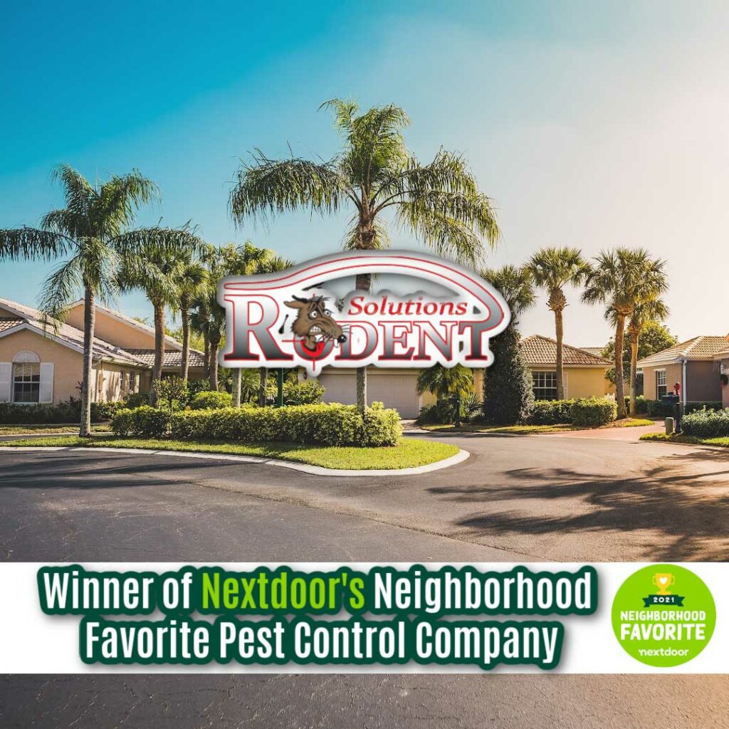 Nextdoor's Neighborhood Favorite Pest Control Company