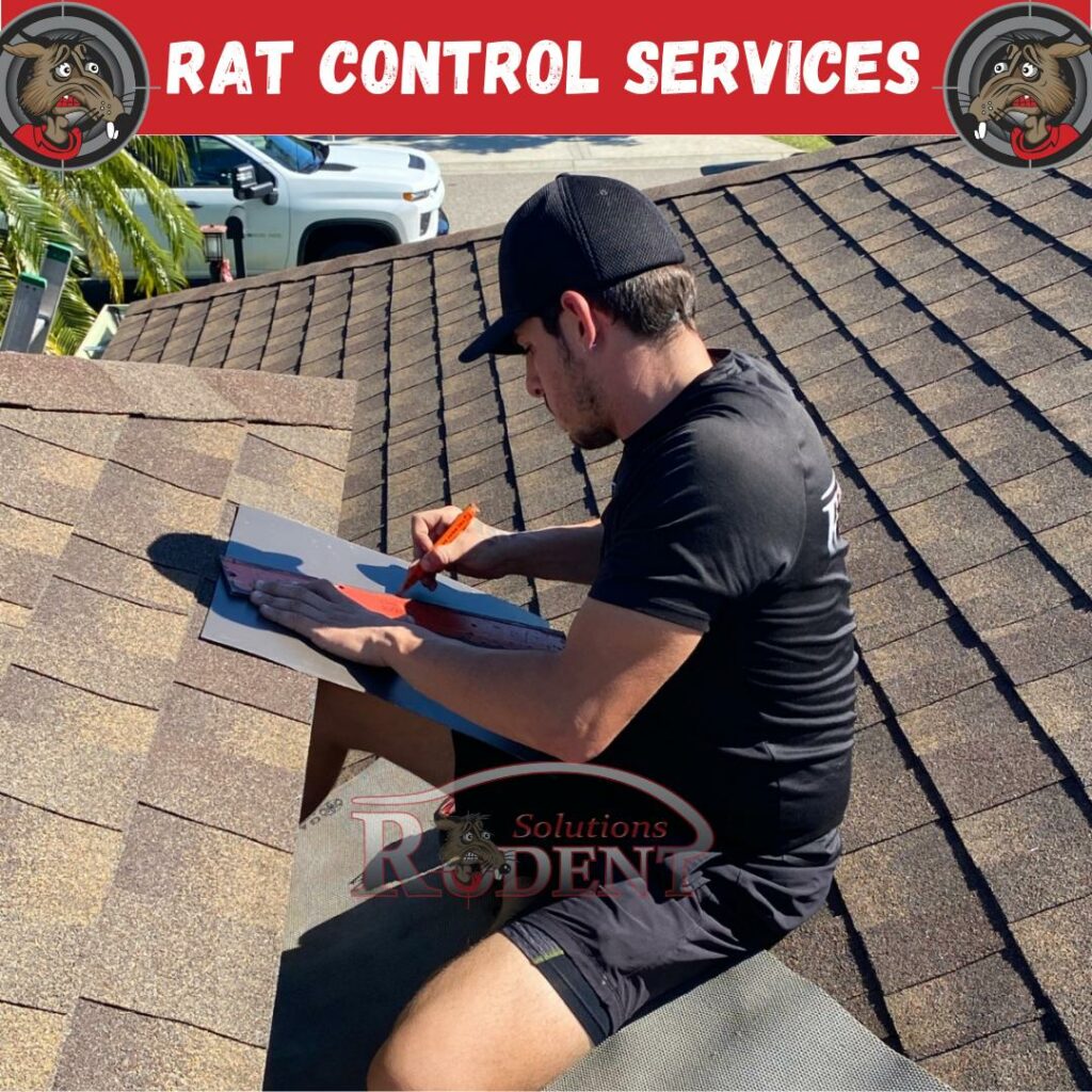 Rat Control Services On a Home In Lakewood Ranch