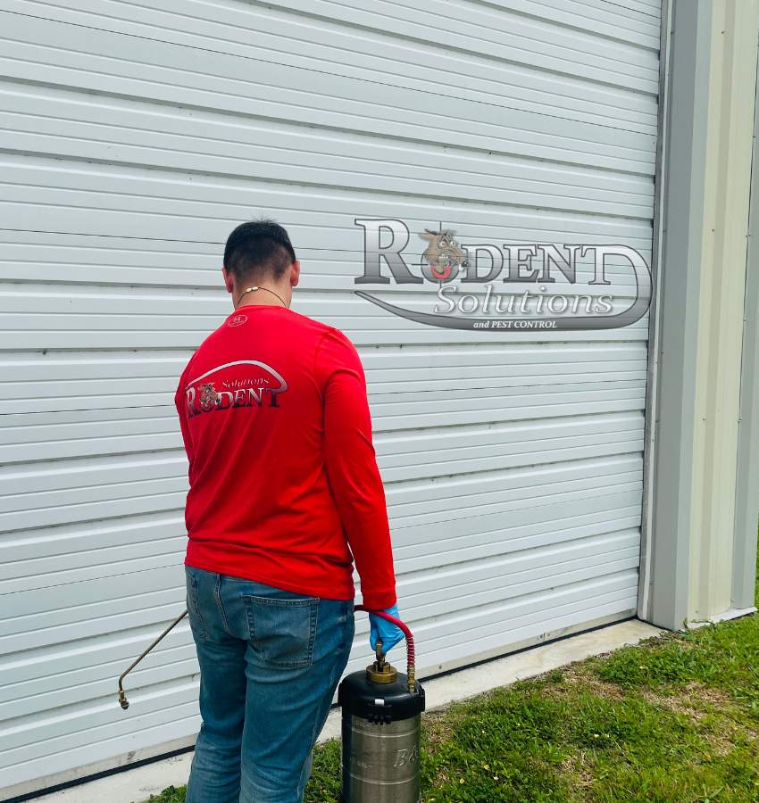 Pest control on a commercial warehouse 