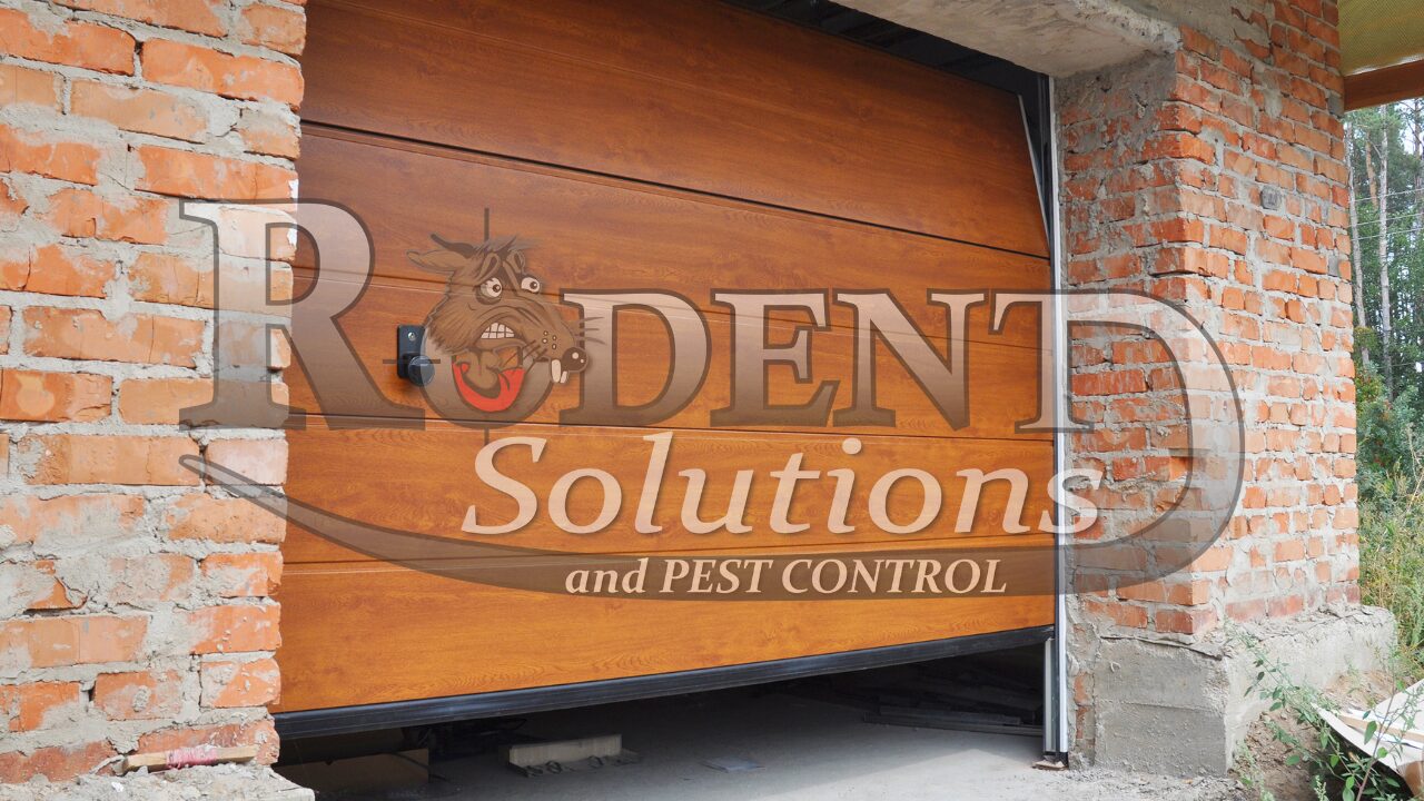 Garage door rodent entry point Rodent Solutions
